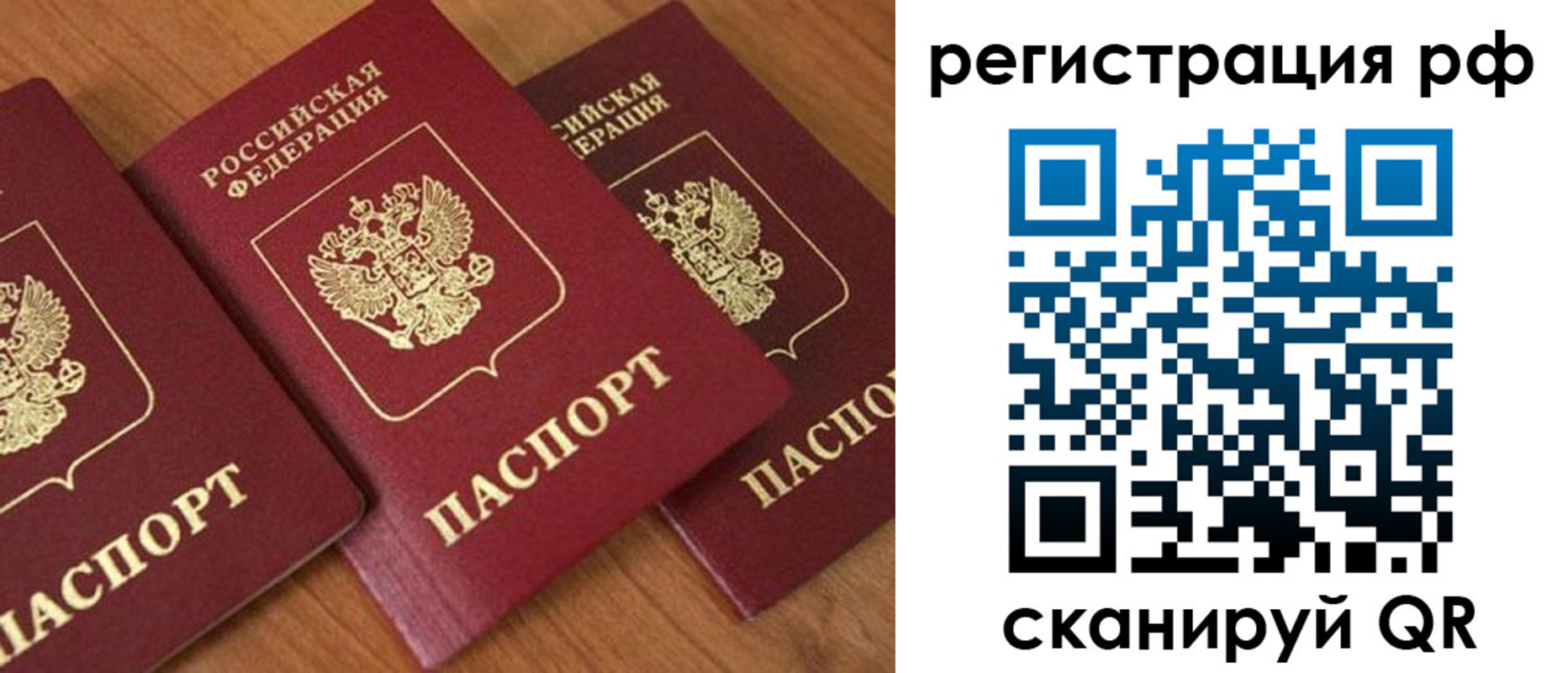 временная регистрация в Ельне